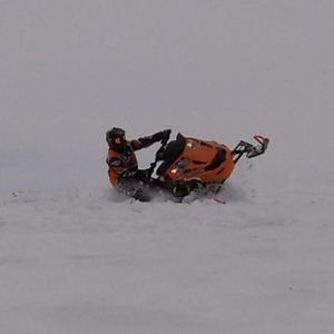 Meet your Posher, Owen